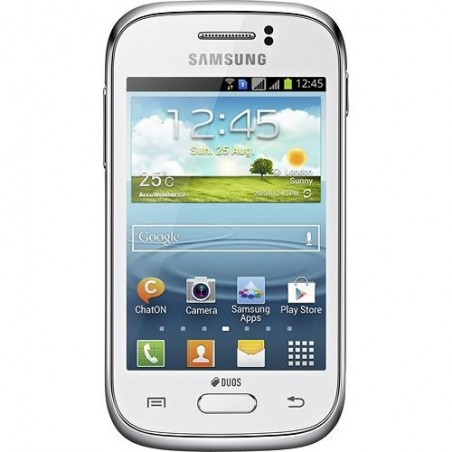 Samsung - Galaxy Young Cell Phone (Unlocked)